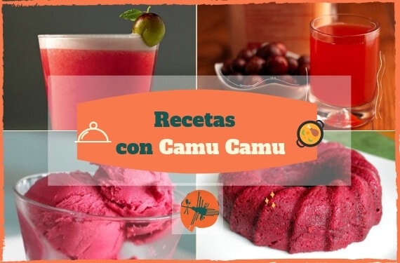 Recetas con Camu Camu