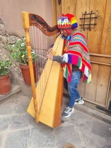 Instrumentos de Cuerda Peruanos 3 El arpa andina
